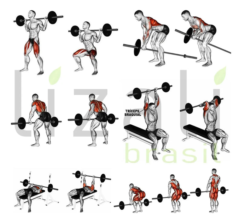 Kit Anilhas Ferro 60kg + 2 Barras 40cm + Barra 150 + Barra W
