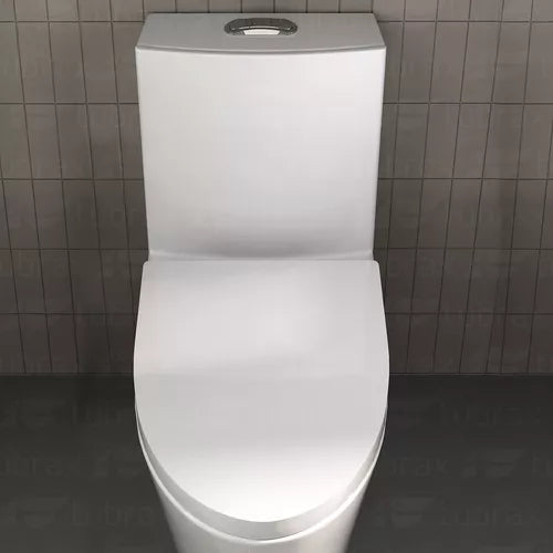 Vaso Sanitário Monobloco Caixa Acoplada Completo - Privada Cor Branco