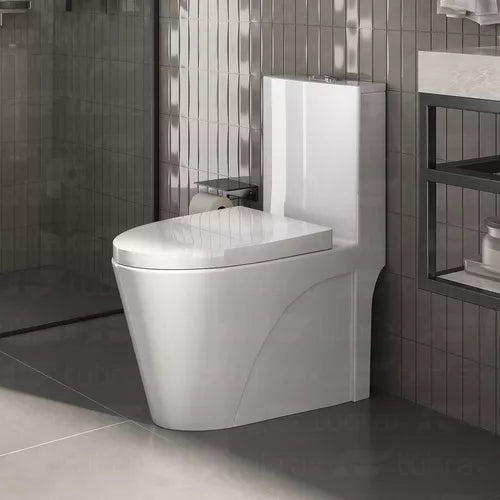 Vaso Sanitário Monobloco Caixa Acoplada Completo - Privada Cor Branco